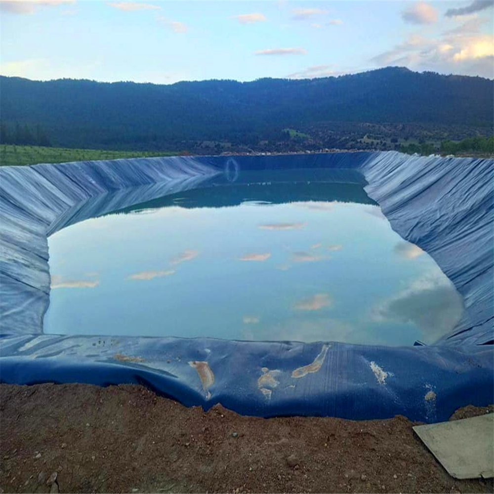 Fish Farm Pond Liner 0.5mm 0.75mm HDPE Geomembrane Plastic Liner Length 50m-200m