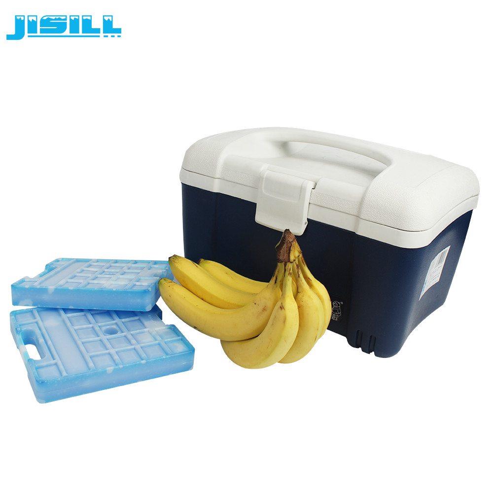 HDPE Large Reusable Cooler Ice Packs blue Gel Ice Block Food With Handle