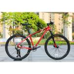 22 Speed Gears Carbon Steel Cool Sport Bicycle MTB Men Racing 29 Inch Mountain