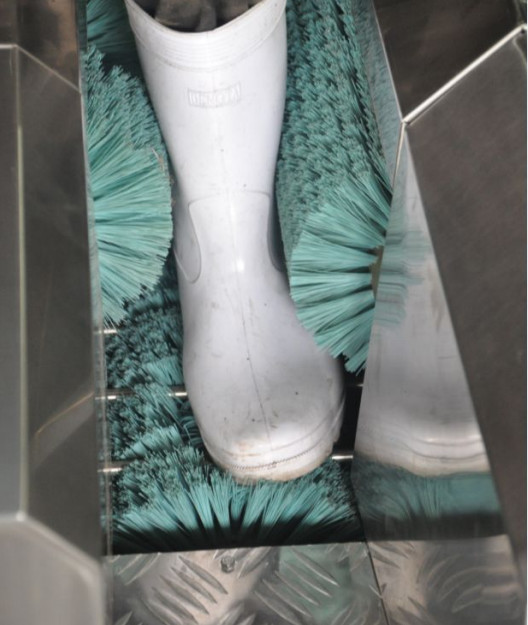 Stainless Steel 304 Automatic Boot Washer and Shoe Cleaner For Food Factory