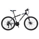 Sport Bike Customized Color Logo Customized Logo Cycle Mountain Bike