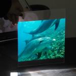 3D Transparent Grey Rear Projection Film Advertising Holographic Screen Glass