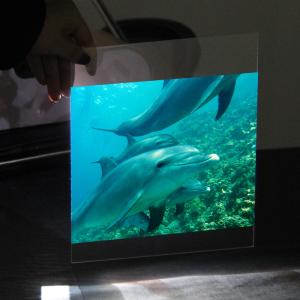 Quality Transparent 3D Holographic Projection Film Rear Window Hologram Projection Film wholesale
