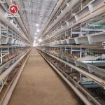 380/220V Layer Farming Cage , Q235 Chicken Laying Eggs Cage