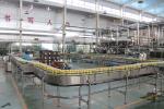 316 Stainless Steel 48000bph Beverage Can Filling Machine