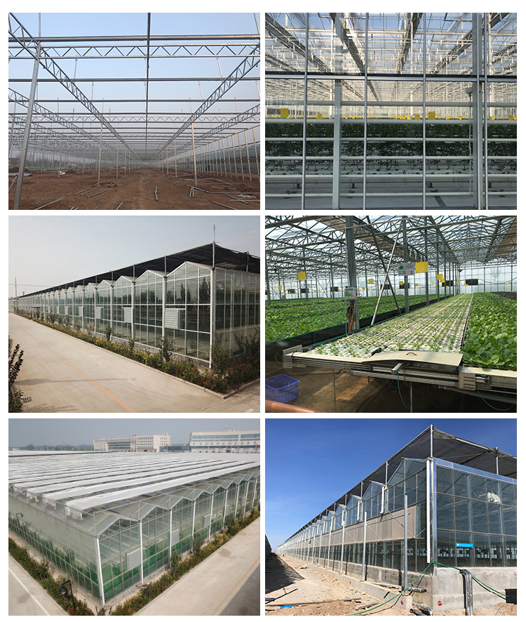 Instruction for Agricultural Glass Hydroponics System Commercial Greenhouses Frame