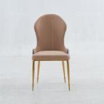 Backrest Decoration 50x60x97cm SS Dining Chairs Modern Dining Room Chairs