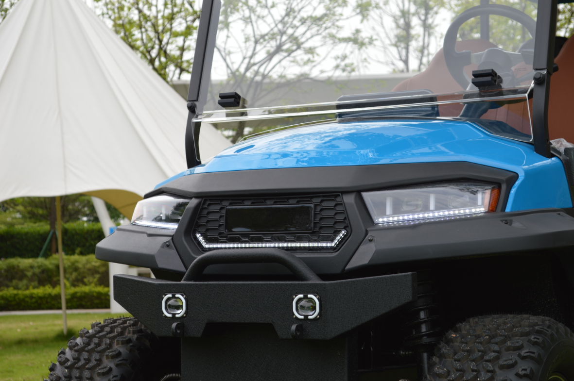 2 4 6 Seat Electric Lithium Battery Sightseeing Golf Cart Golf Buggy Car with DOT Comfortable and Spacious