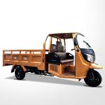 Adult Cargo Tricycle with CE Motorized 201 250cc Closed 2000mm*1300mm 4.50-12