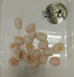 Quality 14-17% Brix Lychee Canned Fruit Sweet Taste With Creamy White Color wholesale