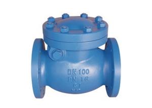 Quality 4 Holes X 4 Inch Swing Gate Check Valve , Swing Type Non Return Valve For Oil wholesale