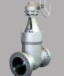 Pressure Seal Gate Valves