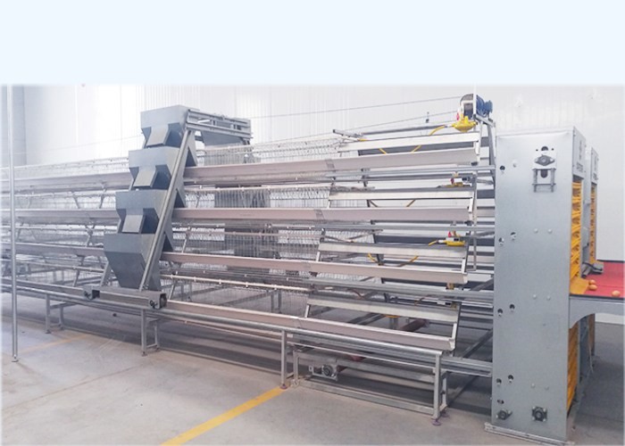 Durable Poultry Keeping Equipment For Large Scale Production Chicken Farming
