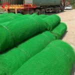Erosion Control Geomat for Road Construction in Philippines and Russian