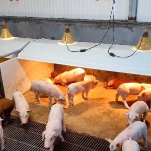 Quality PVC Fence Livestock Farm Nursery Cage Hot Galvanized Steel Customized wholesale