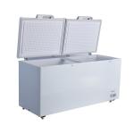 Commercial Large Capacity Freezer with Long Working Life and Horizontal Copper