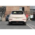 2023 ORA Electric SUV Car with Automatic Air Conditioner and Car Entertainment