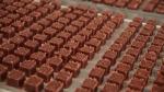 Beef Jerky Bites Dog Snack Treats Forming Machine