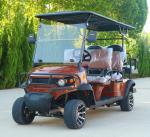 Buggy Off Road 4 Wheel Electric Golf Cart 6 Passengers 60V 100Ah Lead Acid
