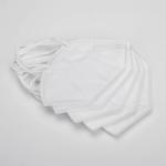 Reusable Civilian Earloop KN95 Protective Mask
