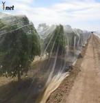 White Fruit Orchard Netting 10gsm - 60gsm Orchard Bird Netting