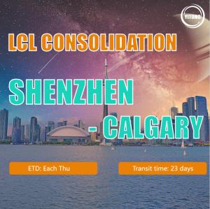 Quality Reliable China Freight LCL Consolidation Service / Shipping Container Price wholesale