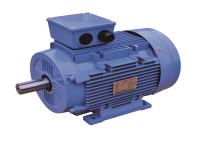 Quality Iec 60034 31 Iec 60252 1 Single Phase Asynchronous Motor Aluminum wholesale