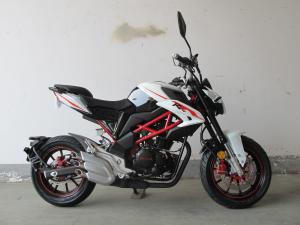 Quality 3 Mufflers Brutale 200 200CC Naked Sport Motorcycle wholesale