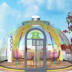 Hot Sale Modern Style Dome-shaped Outdoor Mobile Starry Bubble House Green PC