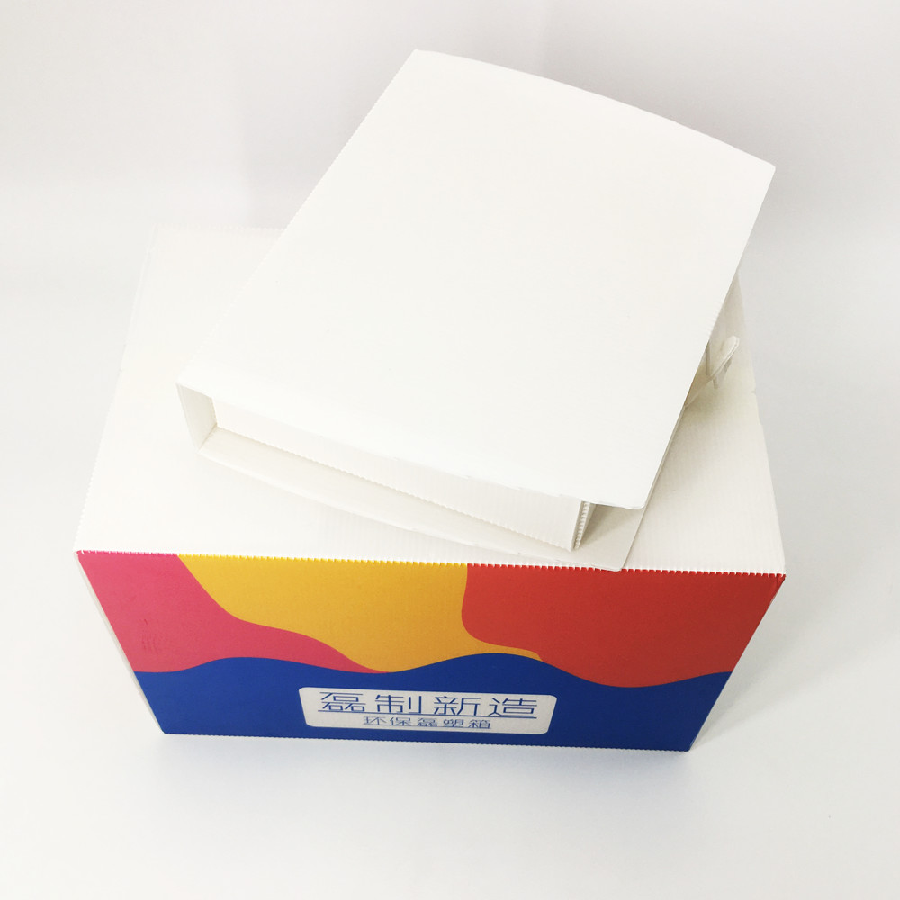 2.5mm Reusable Impact Resistance Corrugated Plastic Carton Polypropylene Carbonate Box