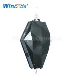 Theater Master Slave 35cm LED Effect Light Kinetic Lifting Ball