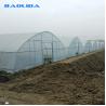 Buy cheap High Hoop Tunnel Polyethylene Film Greenhouse For Agriculture from wholesalers