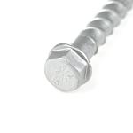 3/4''x5'' Hex Head Stainless Steel Concrete Anchors Bolt for Sign Installation