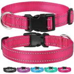 Professional-Grade Reflective Dog Collar - Adjustable Nylon Pet Collar with