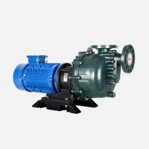 Quality 230/460V Mag Drive Centrifugal Pump For High Temperature Industrial Applications Stainless Steel wholesale