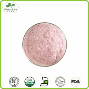 Quality Spray Dried Watermelon Fruit Juice Concentrate Powder wholesale