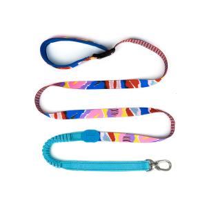 Quality Outdoor Hiking Retractable Anti Pull Dog Leash Lead 1 Inch Halti Handmade wholesale