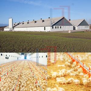 Quality Economical Light Steel Structure Chicken House , Prefab Agricultural Buildings wholesale