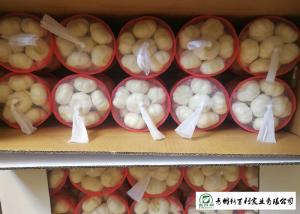 Quality Reducing Bacteria Fresh Organic Garlic 9 Months Shelf Life Supply For Supermarket wholesale