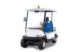 Flexible 48 V Custom Electric Golf Carts 2 Seater With Stretcher For Injury