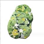 Irregular Polyacrylonitrile Fiber Bedroom Floor Carpet Minuta Pattern European