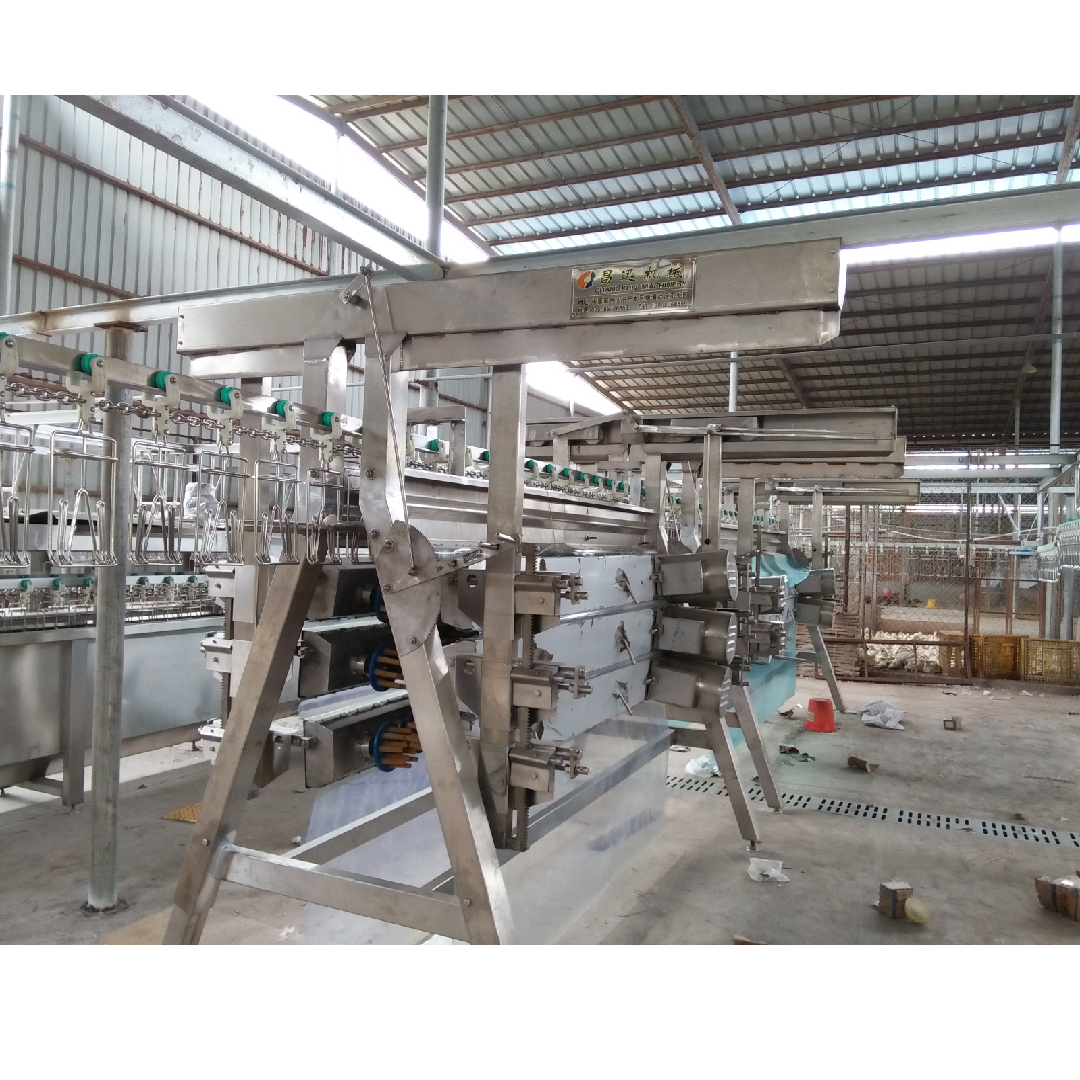 304 Stainless Steel Chicken Slaughtering Line 220V / 380V Poultry Killing Machine