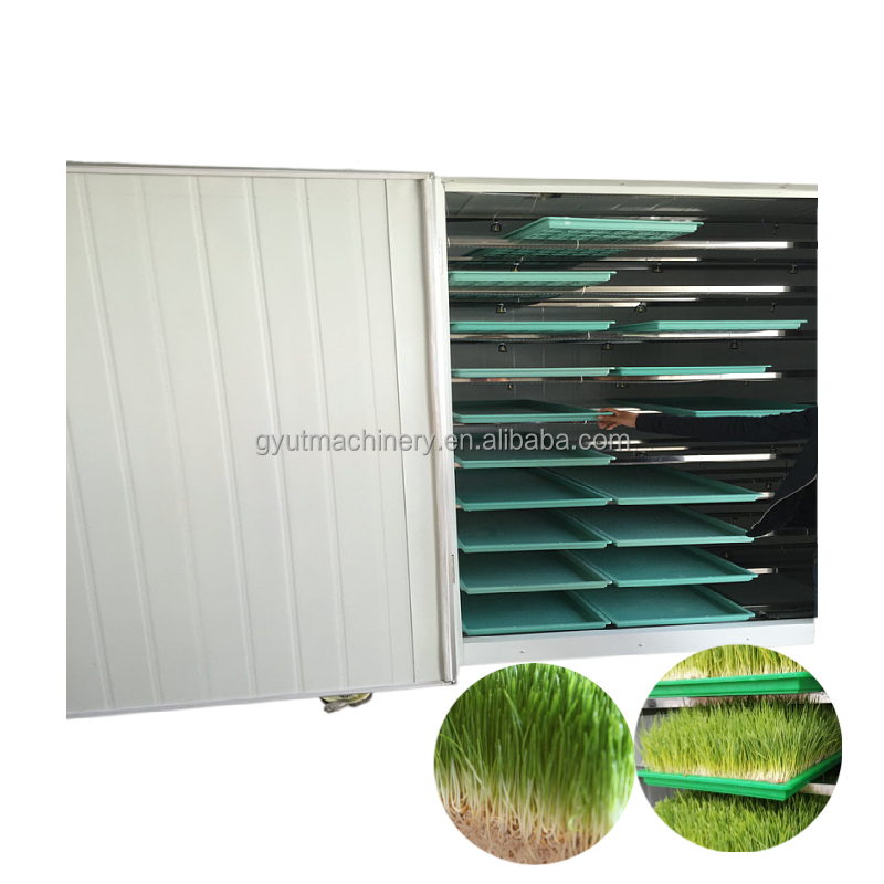 500kg/day Capacity Sprout Production Machines for Fast Manufacturing Plant