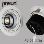 40W 0-10V Dimmable Meanwell Driver High Power CITIZEN Chip LED Downlight www