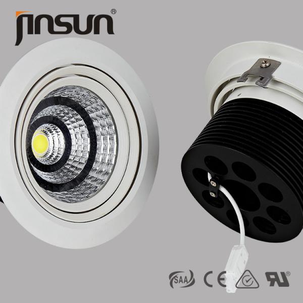 40W 0-10V Dimmable Meanwell Driver High Power CITIZEN Chip LED Downlight www