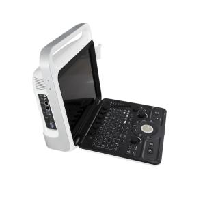 Quality 320V Venous Doppler Ultrasound Machine Scan CW Mode DICOM Interface wholesale
