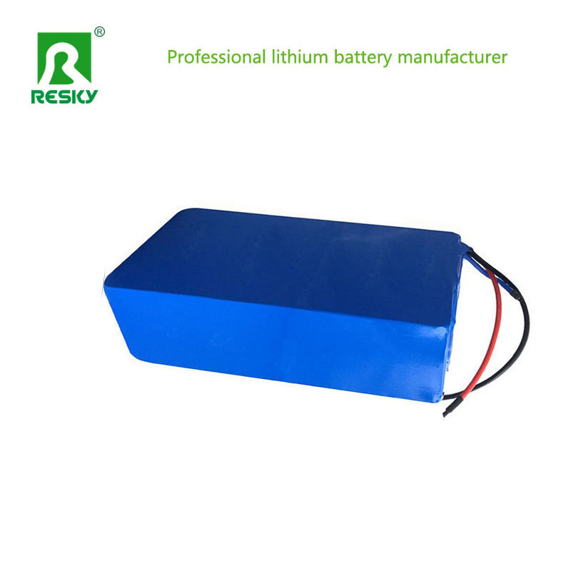 48V 20ah 1000W Lithium Battery Pack For Electric Vehicle