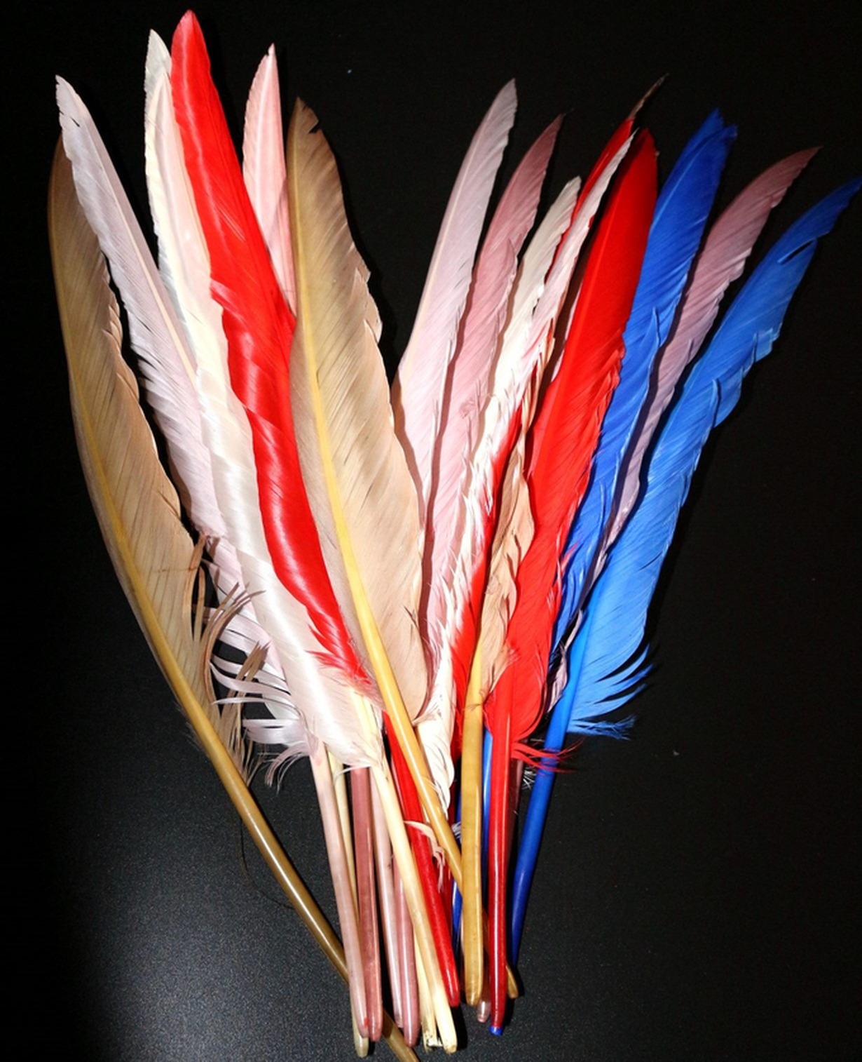 Valentine's Day Millinery Supplies Turkey Feather Quill for Worldwide Shipping