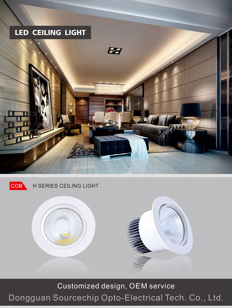 20W ceiling LED lights wholesale