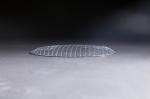 Electrolysis Bbq Cooking Grates 32x32 Stainless Steel Grill Mesh